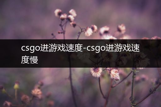 csgo进游戏速度-csgo进游戏速度慢
