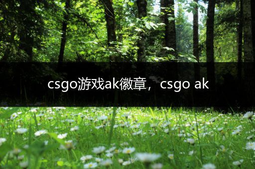 csgo游戏ak徽章，csgo ak