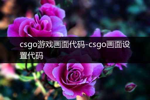 csgo游戏画面代码-csgo画面设置代码