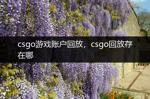 csgo游戏账户回放，csgo回放存在哪