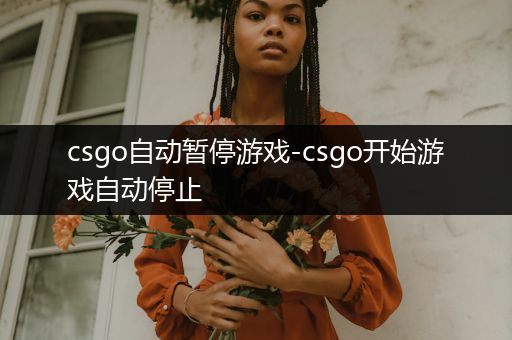 csgo自动暂停游戏-csgo开始游戏自动停止