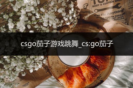 csgo茄子游戏跳舞_cs:go茄子