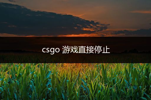 csgo 游戏直接停止