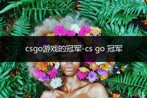 csgo游戏的冠军-cs go 冠军