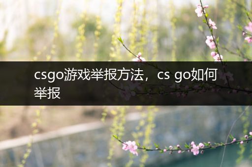 csgo游戏举报方法，cs go如何举报