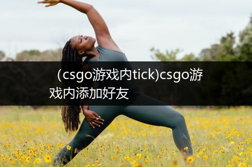 （csgo游戏内tick)csgo游戏内添加好友