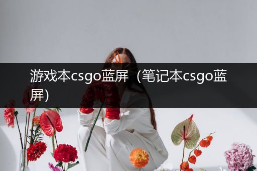 游戏本csgo蓝屏（笔记本csgo蓝屏）