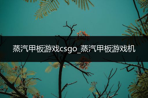 蒸汽甲板游戏csgo_蒸汽甲板游戏机