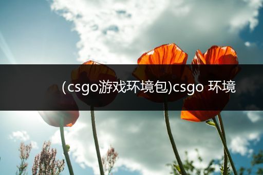 （csgo游戏环境包)csgo 环境