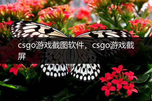 csgo游戏截图软件，csgo游戏截屏