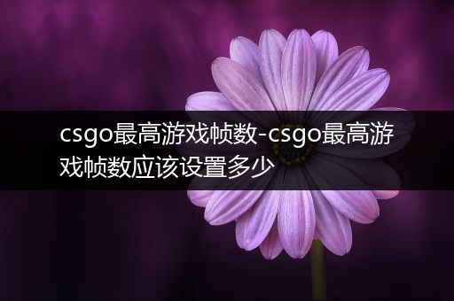 csgo最高游戏帧数-csgo最高游戏帧数应该设置多少