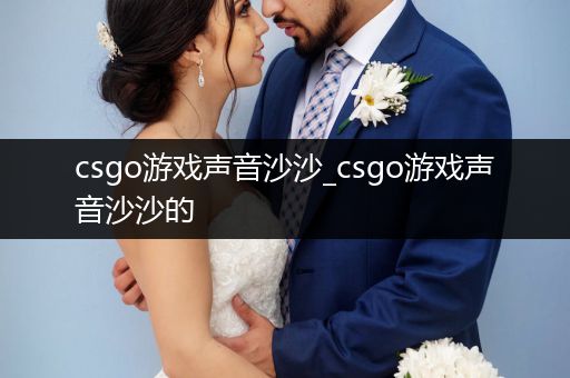 csgo游戏声音沙沙_csgo游戏声音沙沙的