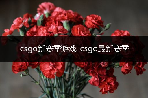 csgo新赛季游戏-csgo最新赛季