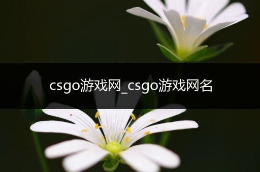 csgo游戏网_csgo游戏网名