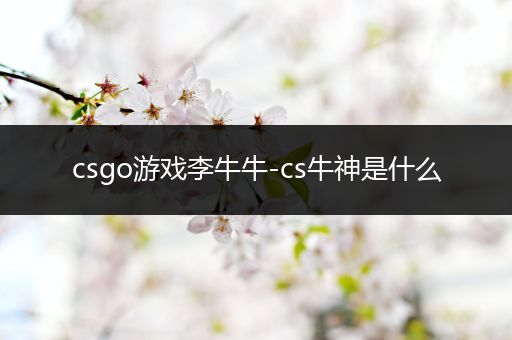 csgo游戏李牛牛-cs牛神是什么