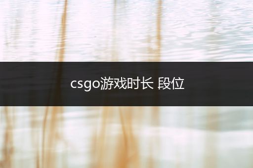 csgo游戏时长 段位