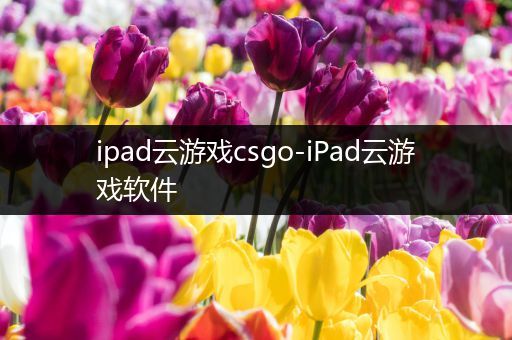 ipad云游戏csgo-iPad云游戏软件