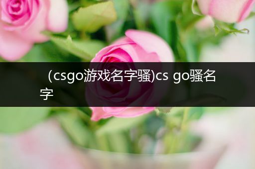 （csgo游戏名字骚)cs go骚名字
