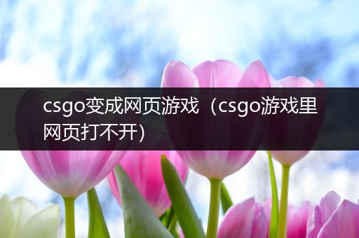 csgo变成网页游戏（csgo游戏里网页打不开）