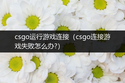 csgo运行游戏连接（csgo连接游戏失败怎么办?）