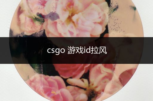 csgo 游戏id拉风