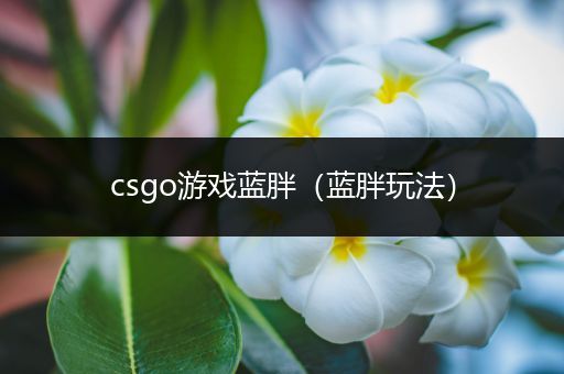 csgo游戏蓝胖（蓝胖玩法）