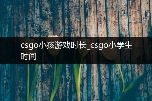 csgo小孩游戏时长_csgo小学生时间