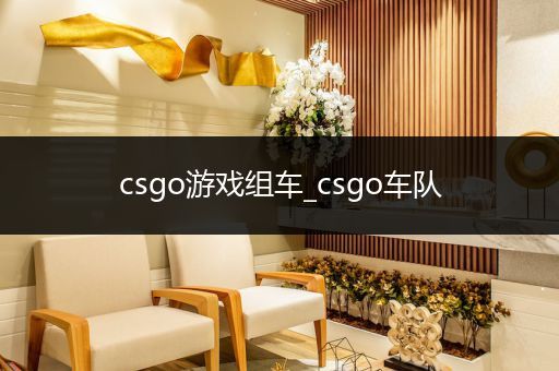csgo游戏组车_csgo车队