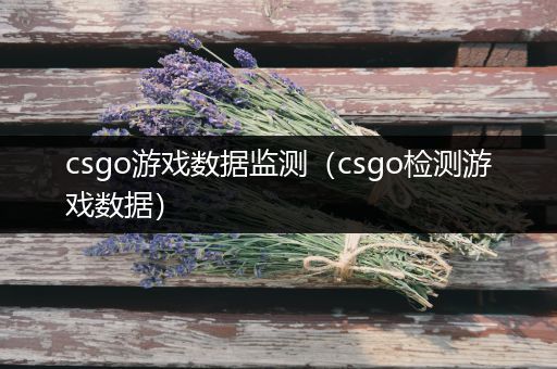 csgo游戏数据监测（csgo检测游戏数据）