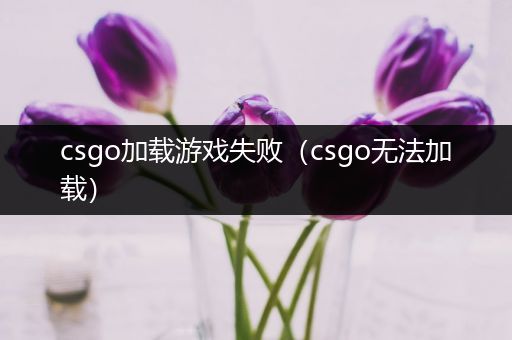 csgo加载游戏失败（csgo无法加载）