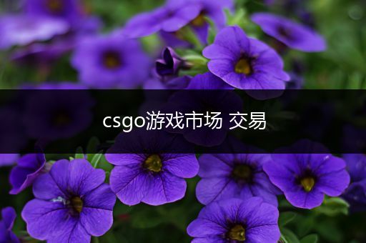 csgo游戏市场 交易