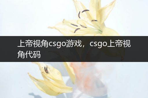 上帝视角csgo游戏，csgo上帝视角代码