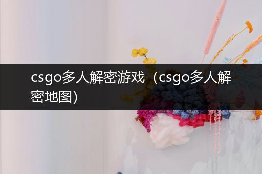 csgo多人解密游戏（csgo多人解密地图）