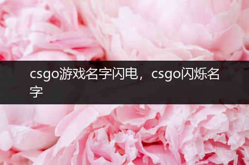 csgo游戏名字闪电，csgo闪烁名字