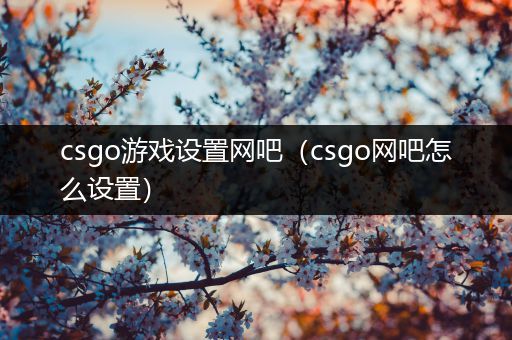 csgo游戏设置网吧（csgo网吧怎么设置）