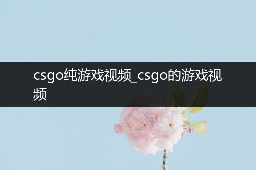 csgo纯游戏视频_csgo的游戏视频