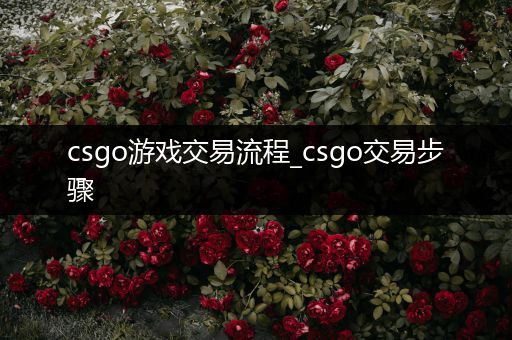 csgo游戏交易流程_csgo交易步骤