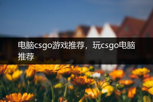 电脑csgo游戏推荐，玩csgo电脑推荐