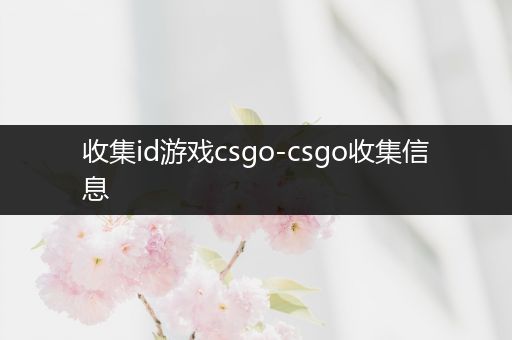 收集id游戏csgo-csgo收集信息