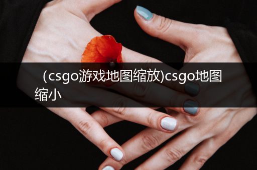 （csgo游戏地图缩放)csgo地图缩小