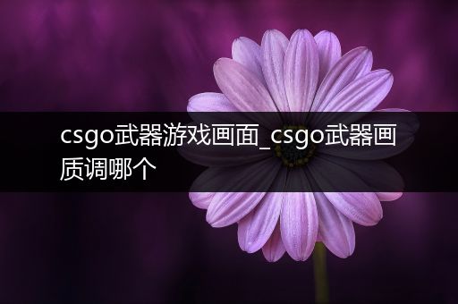 csgo武器游戏画面_csgo武器画质调哪个