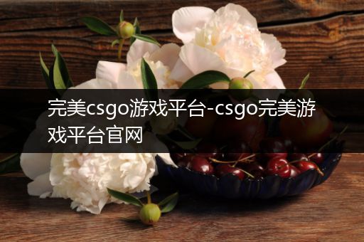 完美csgo游戏平台-csgo完美游戏平台官网