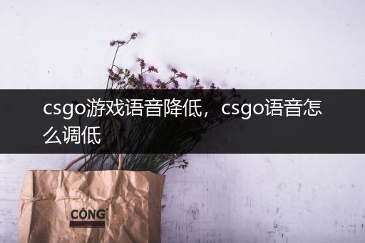 csgo游戏语音降低，csgo语音怎么调低