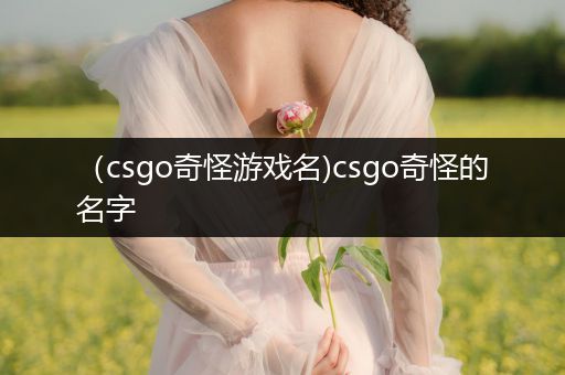 （csgo奇怪游戏名)csgo奇怪的名字