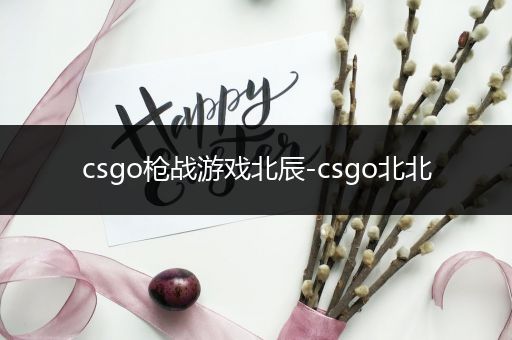 csgo枪战游戏北辰-csgo北北