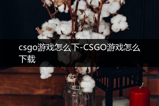 csgo游戏怎么下-CSGO游戏怎么下载