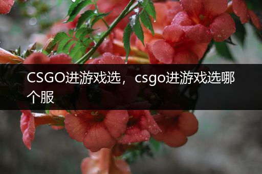 CSGO进游戏选，csgo进游戏选哪个服