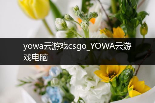 yowa云游戏csgo_YOWA云游戏电脑