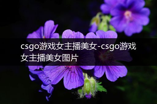 csgo游戏女主播美女-csgo游戏女主播美女图片