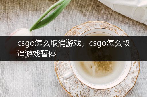 csgo怎么取消游戏，csgo怎么取消游戏暂停